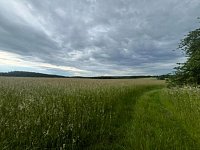 Pozemek stavební a zemědělská půda okr. Rakovník - Jesenice - IMG_2027.jpg