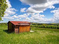 Prodej stavebního pozemku s dřevěnou chatou, 2 829 m2, Chocenice (Plzeň-jih), zlevněno - Foto 4