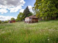 Prodej stavebního pozemku s dřevěnou chatou, 2 829 m2, Chocenice (Plzeň-jih), zlevněno - Foto 6