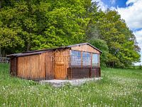 Prodej stavebního pozemku s dřevěnou chatou, 2 829 m2, Chocenice (Plzeň-jih), zlevněno - Foto 8