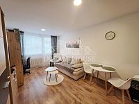 Pronájem zařízeného bytu 2+kk, 45m2, Praha 6 - Řepy, zařízený, sklepní kóje - Foto 2