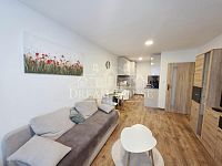 Pronájem zařízeného bytu 2+kk, 45m2, Praha 6 - Řepy, zařízený, sklepní kóje - Foto 3