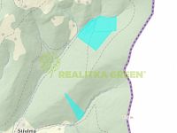 Prodej lesních pozemků v k.ú Nýdek, okr. Frýdek-Místek, CP 90306 m2 - Záznam celé obrazovky 31.01.2025 91952.jpg