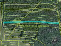 Prodej lesních pozemků, k.ú. Hřivínův Újezd, CP 11067 m2 - Záznam celé obrazovky 16.10.2024 201427.jpg