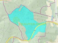 Lesní pozemky k.ú. Velíková, okr. Zlín, CP 179 312 m2 - Záznam celé obrazovky 29.07.2025 90716.jpg