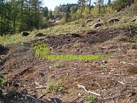 Lesní pozemek k.ú. Růžďka, okr. Vsetín, CP 21209 m2 - n800wm1-7f7e7-prodej-lesy-18796-m-bozkov-2013765-2-ic5b71e03ea430fb6faea077d897c05ec.jpg