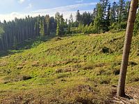 Lesní pozemky k.ú. Velíková, okr. Zlín, CP 26699 m2 - 1079.jpg