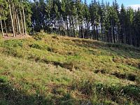 Lesní pozemky k.ú. Velíková, okr. Zlín, CP 152 613 m2 - 1075.jpg