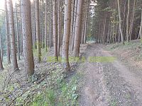 Lesní pozemky k.ú. Velíková, okr. Zlín, CP 152 613 m2