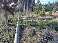 Lesní pozemky k.ú. Velíková, okr. Zlín, CP 152 613 m2 - 1077.jpg