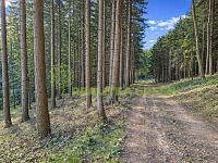 Lesní pozemky k.ú. Velíková, okr. Zlín, CP 152 613 m2