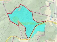 Lesní pozemky k.ú. Velíková, okr. Zlín, CP 152 613 m2 - Záznam celé obrazovky 29.07.2025 90716.jpg