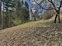 Prodej chaty se včelínem a vlastním pozemkem, Vsetín, lokalita Potůčky, CP 2.227 m2 - IMG_4679.jpeg