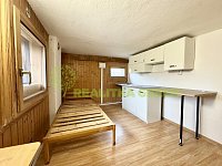 Pronájem bytu 1+kk, Žlutava, CP 19 m2 - IMG_3187.jpg