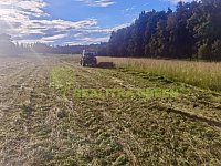 Prodej louky k.ú. Horní Dlužiny, Světlá nad Sázavou, okr. Havlíčkův Brod, CP 41681 m2 - 9dba143a-9eba-4feb-a08e-ccffd28de77f.jpg