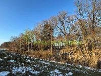 Prodej pozemků k.ú. Horní Dlužiny, Světlá nad Sázavou, okr. Havlíčkův Brod, CP 48055 m2 - 533b2334-b9de-4539-97d1-55e77e5cb678.JPG