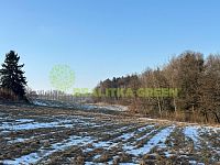 Prodej pozemků k.ú. Horní Dlužiny, Světlá nad Sázavou, okr. Havlíčkův Brod, CP 48055 m2