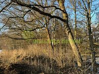 Prodej pozemků k.ú. Horní Dlužiny, Světlá nad Sázavou, okr. Havlíčkův Brod, CP 48055 m2 - e45bdf99-f36b-4079-8405-89b3b613d752.JPG