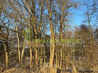 Prodej pozemků k.ú. Horní Dlužiny, Světlá nad Sázavou, okr. Havlíčkův Brod, CP 48055 m2 - e78f0966-b973-4ab3-883e-8affbf6fffd4.JPG