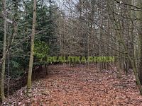 Prodej lesního pozemku k.ú. Křemenec, Konice, okr. Prostějov, CP 10385 m2 - IMG_0945.JPG