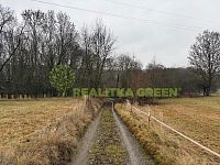 Prodej lesního pozemku k.ú. Křemenec, Konice, okr. Prostějov, CP 10385 m2 - IMG_0961.JPG