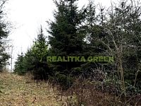 Prodej lesního pozemku k.ú. Křemenec, Konice, okr. Prostějov, CP 3343 m2 - IMG_0955.jpg