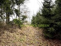 Prodej lesního pozemku k.ú. Křemenec, Konice, okr. Prostějov, CP 3343 m2 - IMG_0957.jpg