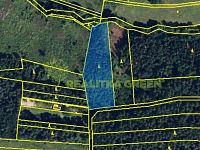 Prodej lesního pozemku k.ú. Křemenec, Konice, okr. Prostějov, CP 3343 m2