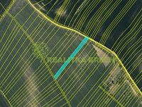 Prodej pozemků Svatobořice - Mistřín, okr. Hodonín, CP 8810 m2