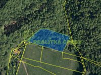 Prodej lesního pozemku k.ú. Zádveřice, okr. Zlín, CP 7363 m2