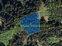 Prodej lesního pozemku k.ú. Halenkov, okr. Vsetín, CP 3003 m2