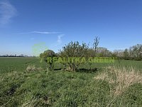 Prodej komerčního areálu Holešov, Količín, CP 27.330 m2 - IMG_4498.jpeg