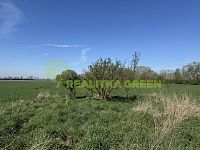 Prodej komerčního areálu Holešov, Količín, CP 27.330 m2 - IMG_4498.jpeg