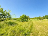 Prodej RD v obci Lipov, okr. Hodonín, CP 1716 m2 - 04A6A26E-910F-4952-B2FC-22F36F5CC770.jpeg