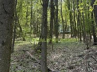 Prodej lesních pozemků k.ú. Želechovice nad Dřevnicí, okr. Zlín, CP 8588 m2 - IMG_2620.JPEG
