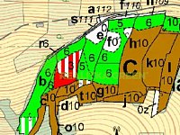 Prodej lesních pozemků k.ú. Želechovice nad Dřevnicí, okr. Zlín, CP 8588 m2 - porostová mapa.jpg