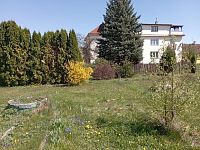 Pronájem bytu 3+1, 90 m2, Jungmannova ul., Sezimovo Ústí I - IMG_20250420_134608.jpg