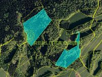 Prodej lesních pozemků k.ú. Pozděchov, CP 36 934 m2, po částečné těžbě