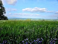 Pozemek k rekreaci 10451 m2 - Vlastiboř u Železného Brodu - 20250611_173135.jpg