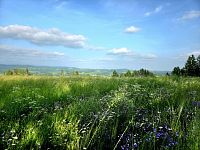 Pozemek k rekreaci 10451 m2 - Vlastiboř u Železného Brodu - 20250611_173203.jpg