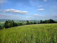 Pozemek k rekreaci 10451 m2 - Vlastiboř u Železného Brodu - 20250611_173350.jpg