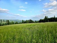 Pozemek k rekreaci 10451 m2 - Vlastiboř u Železného Brodu - 20250611_173407.jpg