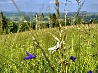 Pozemek k rekreaci 10451 m2 - Vlastiboř u Železného Brodu - 20250611_173656.jpg