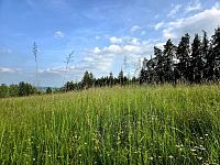 Pozemek k rekreaci 10451 m2 - Vlastiboř u Železného Brodu - 20250611_173715.jpg