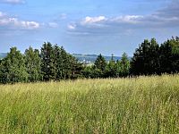 Pozemek k rekreaci 10451 m2 - Vlastiboř u Železného Brodu - 20250611_174115.jpg