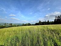 Pozemek k rekreaci 10451 m2 - Vlastiboř u Železného Brodu - 20250611_174141.jpg