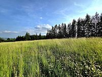 Pozemek k rekreaci 10451 m2 - Vlastiboř u Železného Brodu - 20250611_174148.jpg