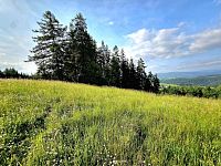 Pozemek k rekreaci 10451 m2 - Vlastiboř u Železného Brodu - 20250611_174157.jpg