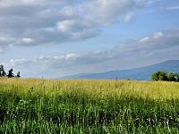 Pozemek k rekreaci 10451 m2 - Vlastiboř u Železného Brodu - 20250611_175507.jpg