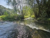 Hezký pozemek - zahrada - 20240903_110950.jpg